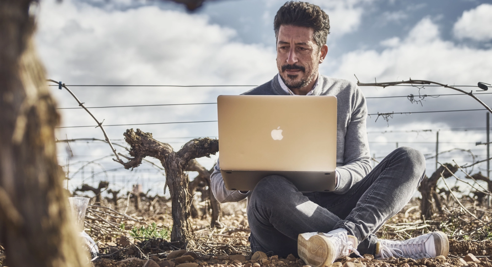 Agencia de marketing digital del vino en León